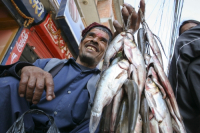 Fish Vendor