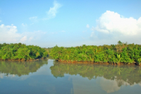 Sundarbans, Khulna