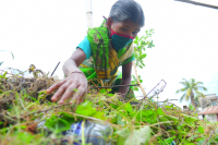 Relaxation from Lockdown