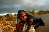 Cyclone Aila devastation at Sundarban-India