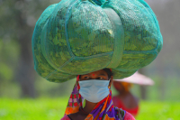 Tea garden workers during lockdown