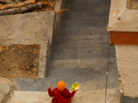 A young monk running down a flight of stairs in the Thiksey Monastery, Ladakh.
