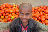 Portrait of a young boy, selling tomatos in Dhaka, Bangladesh.