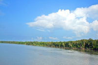 Sundarbans, Khulna
