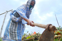 Relaxation from Lockdown