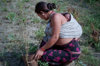 Lifestyle of Indigenous Tribal Peoples