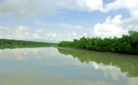 Sundarbans, Khulna