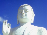 Sri Lanka. Buddha statue at Mihintale.
