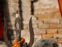 Sadhus, Religious Festivals, Nepal.