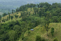 Palanquin_Bangladesh