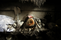 The interior of a traditional healer's home