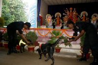 Puja starts with amid security