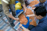 CHINA Migrant workers from the countryside working as self-employed street vendors of shrimp paste in Guangzhou, Guangdong province.