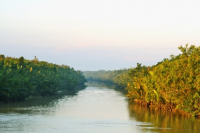 Sundarbans, Khulna