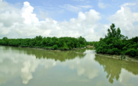 Sundarbans, Khulna