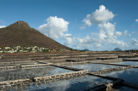 Mauritius. Salt Pans at Tamarin
