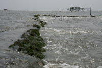Tidal surge continues after Aila