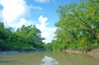 Sundarbans, Khulna