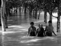 Second phase flood at Gaibandha