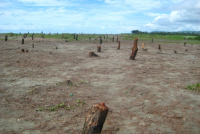 Land gravers at Teknaf