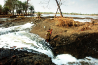 Cyclone Aila devastation at Sundarban-India