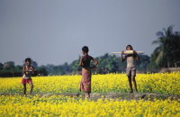 DRIK PICTURE LIBRARY LTD.