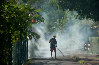 Mauritius. Sweeping a street and burning leaves.