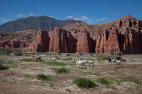 Rock formations in the foothills of Andes in Cafayate region, Salta, Argentina