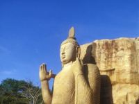 Sri Lanka. Aukana Buddha Statue.