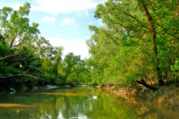 Sundarbans, Khulna