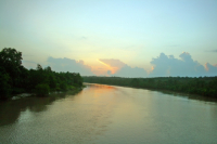 Sundarbans, Khulna
