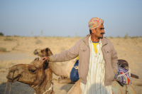  A camel herder with his camel.