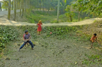 Cricket Game, Singair