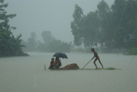 Flood water increasing at Gaibandha