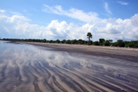 Sundarbans, Khulna